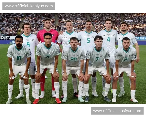 大洋洲仅新西兰入围 附加赛新喀里多尼亚待突围 大洋洲仅新西兰入围 附加赛新喀里多尼亚待突围